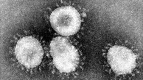 Imatge del coronavirus